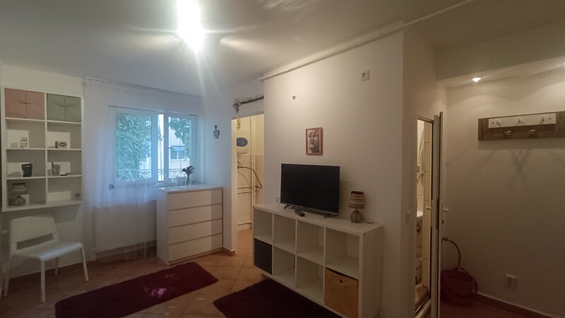 Aleea Pantelimon garsoniera cf. 3, proprietar